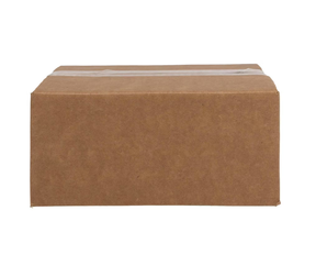 2025 Panini Silhouette Football Hobby 10-Box Case