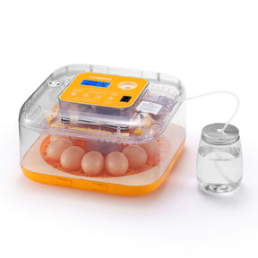 Neighborhood Egg Incubator, 12 Eggs Capacity