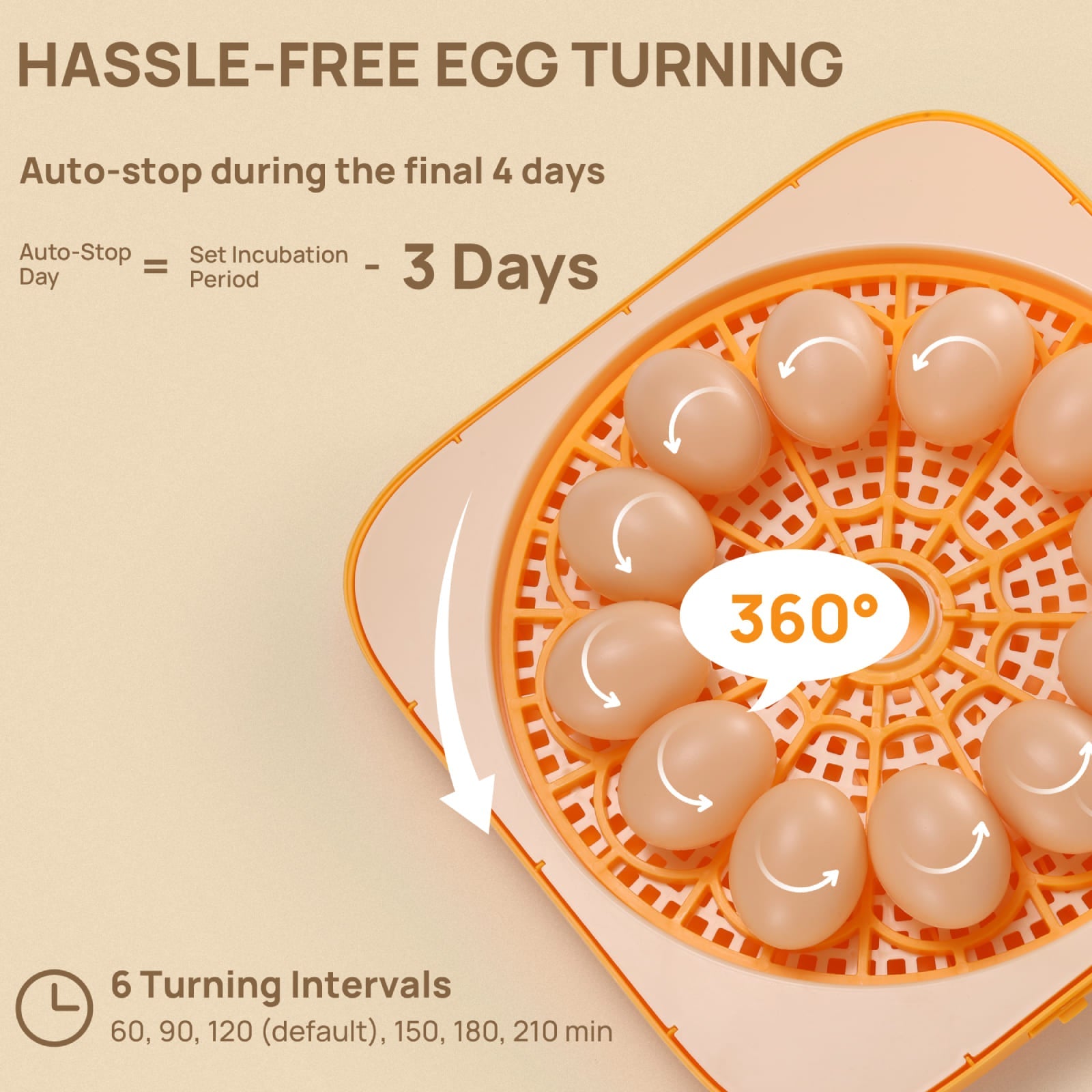 Neighborhood Egg Incubator, 12 Eggs Capacity