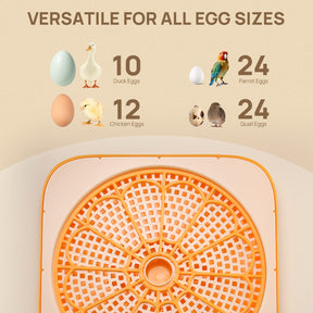 Neighborhood Egg Incubator, 12 Eggs Capacity