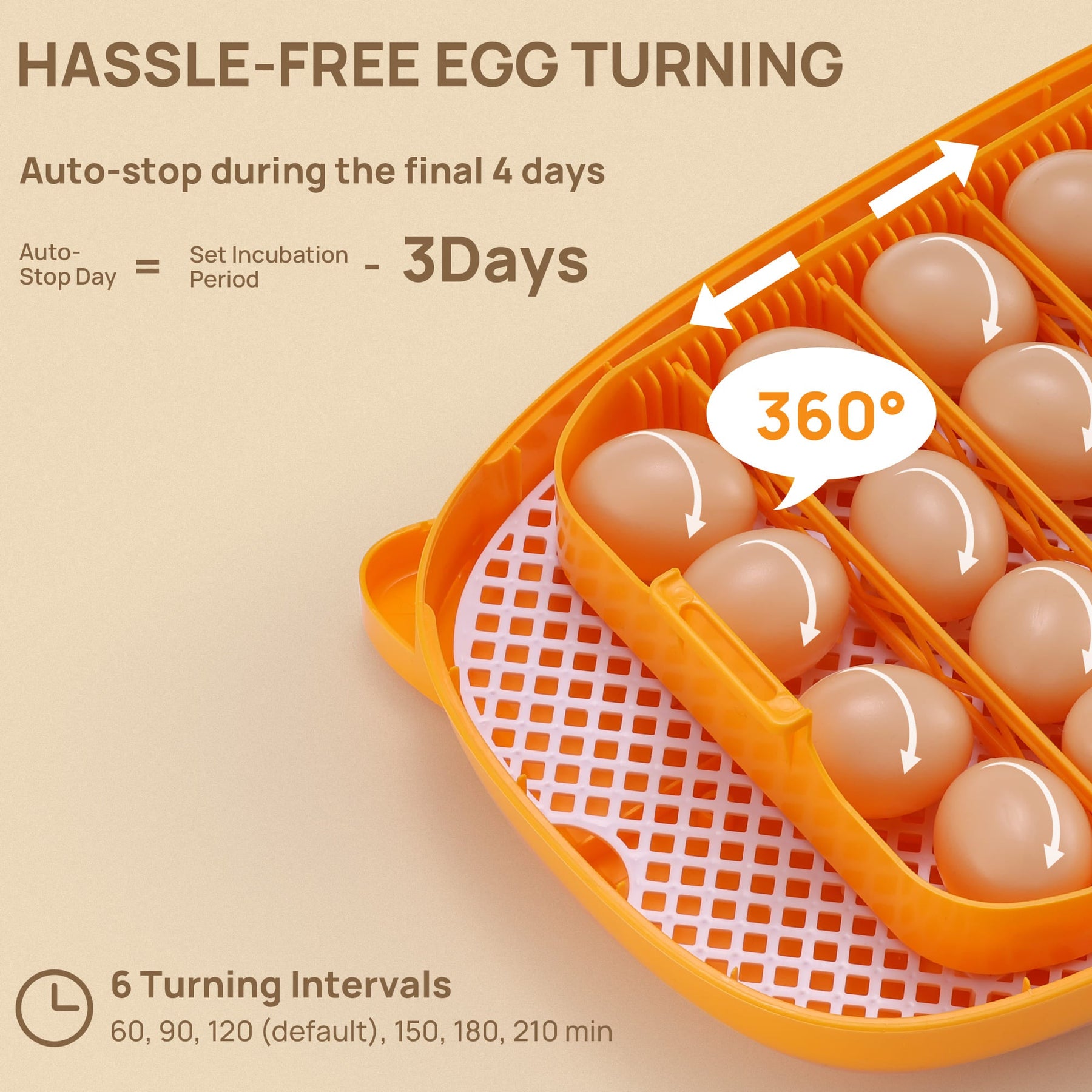 Neighborhood Egg Incubator, 24 Eggs Capacity