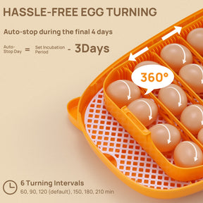 Neighborhood Egg Incubator, 24 Eggs Capacity