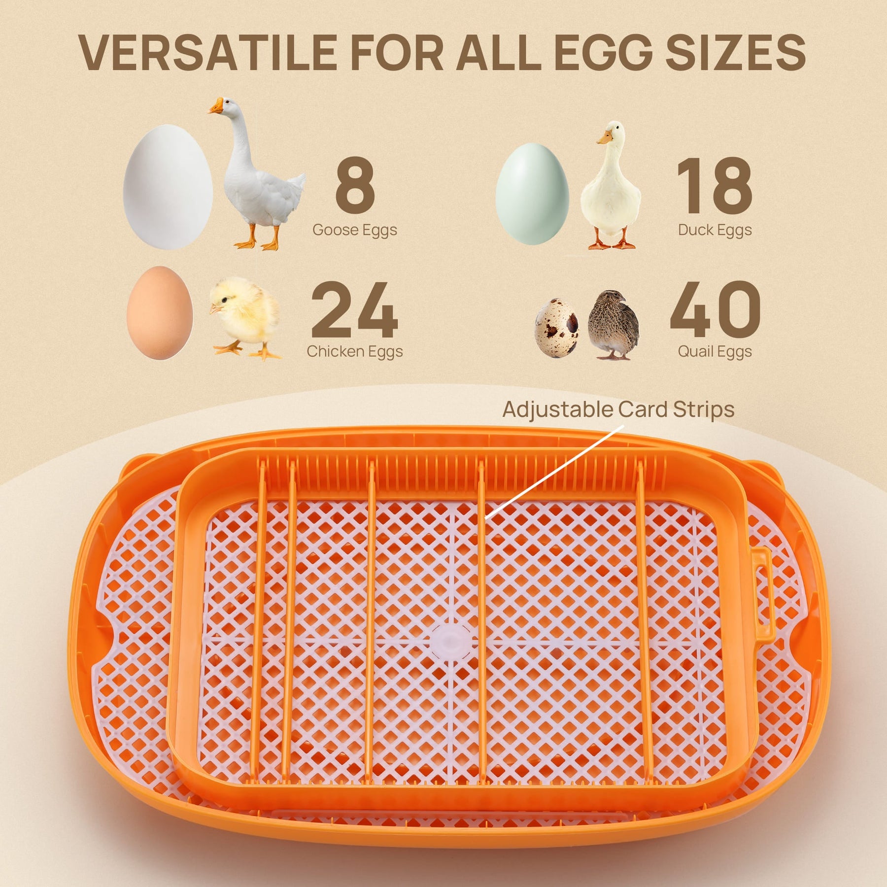 Neighborhood Egg Incubator, 24 Eggs Capacity