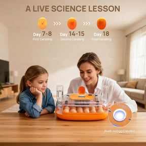 Neighborhood Egg Incubator, 24 Eggs Capacity